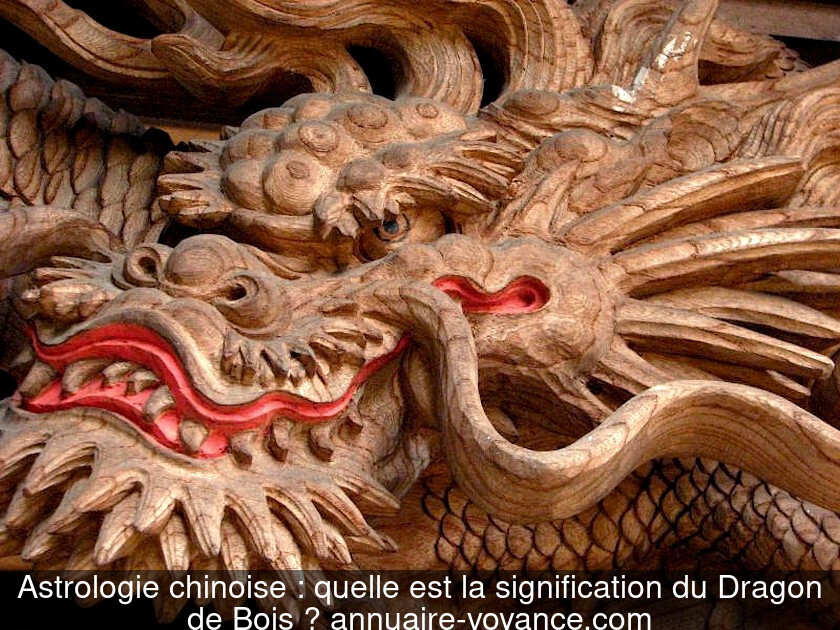 Astrologie chinoise : quelle est la signification du Dragon de Bois ?