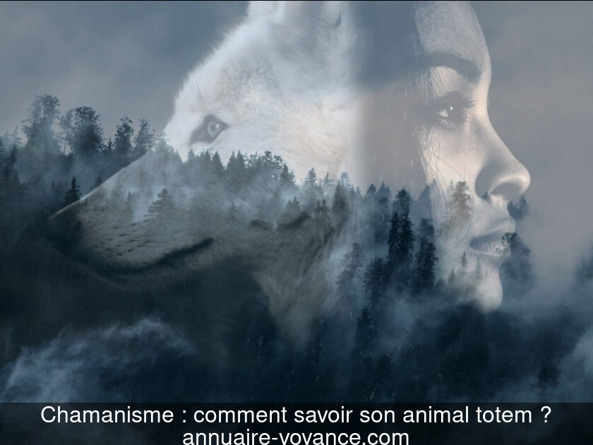 Chamanisme : comment savoir son animal totem ?