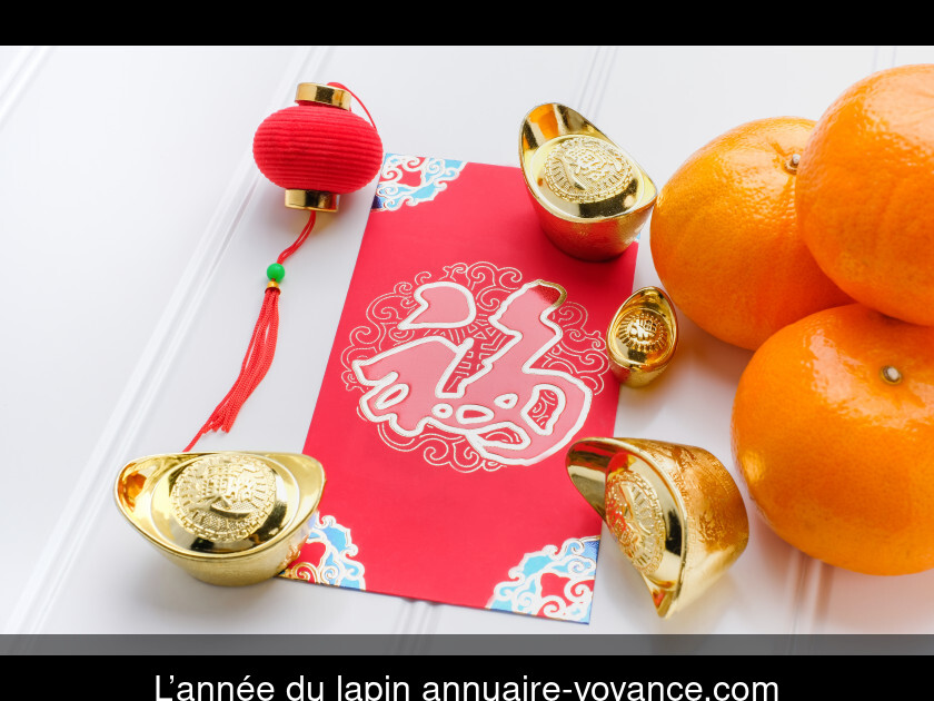 L’année du lapin