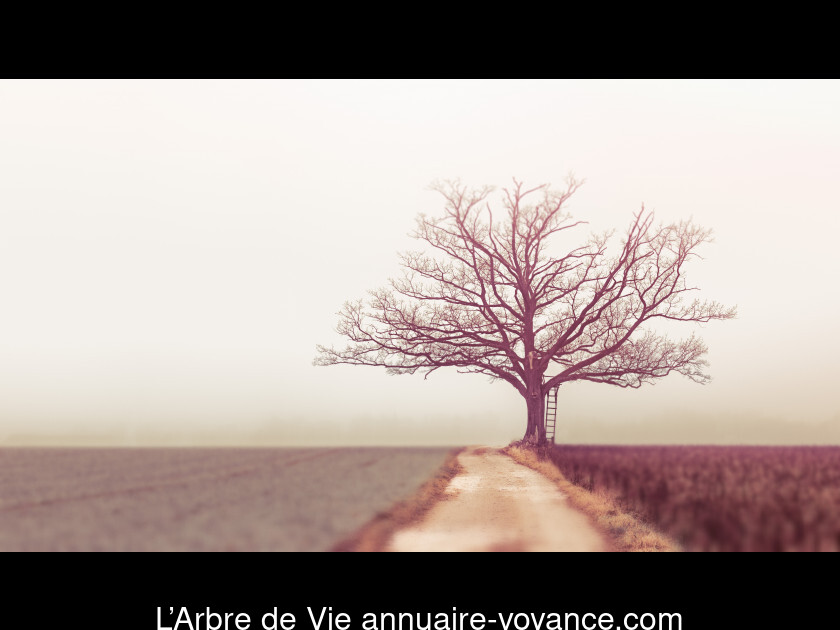 L’Arbre de Vie