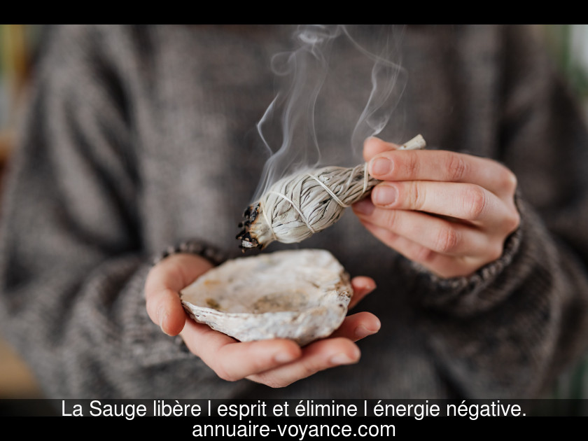 La Sauge libère l'esprit et élimine l'énergie négative.