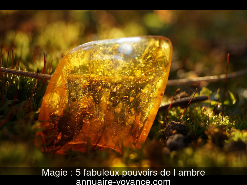 Magie : 5 fabuleux pouvoirs de l'ambre