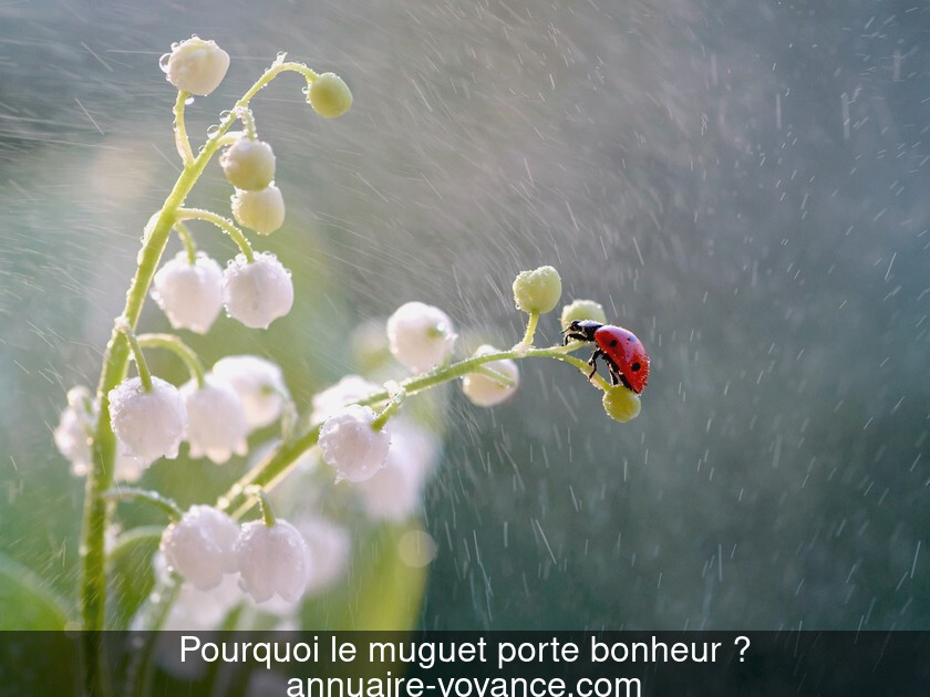 Pourquoi le muguet porte bonheur ?