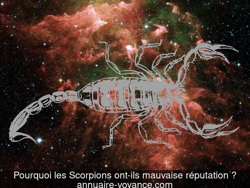 Pourquoi les Scorpions ont-ils mauvaise réputation ?