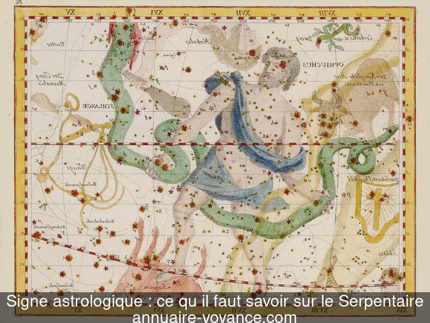 Signe astrologique : ce qu'il faut savoir sur le Serpentaire