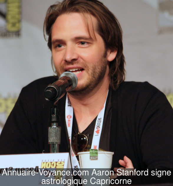 Aaron Stanford Capricorne