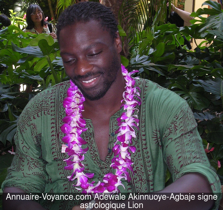 Adewale Akinnuoye-Agbaje Lion