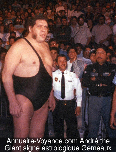 André the Giant Gémeaux