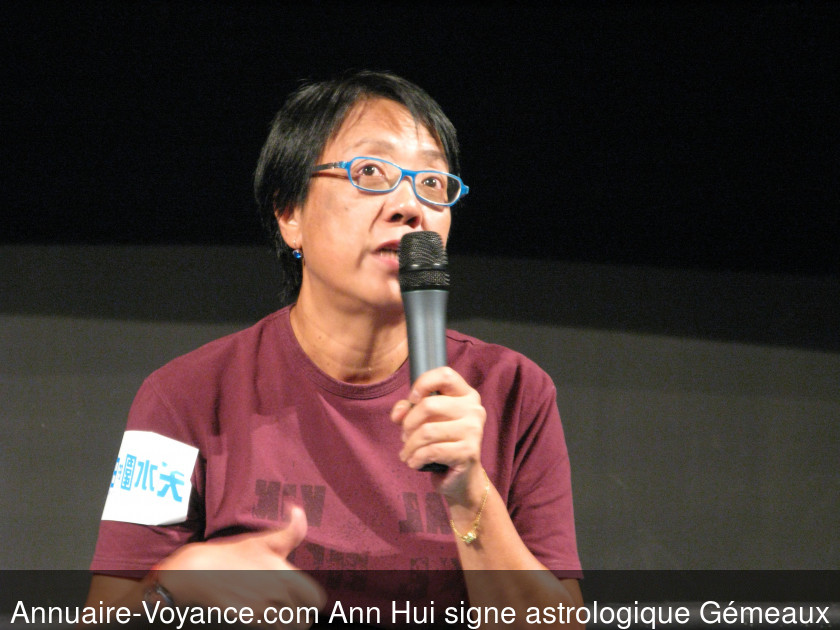 Ann Hui Gémeaux