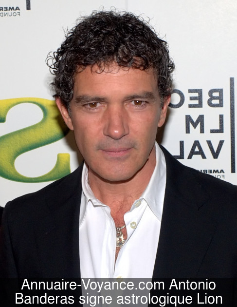 Antonio Banderas Lion