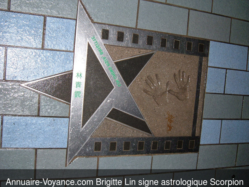 Brigitte Lin Scorpion