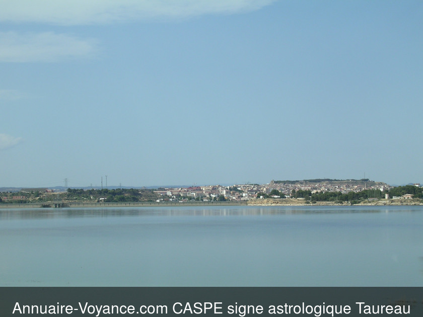 CASPE Taureau