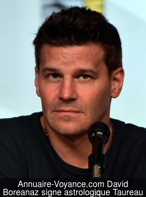 David Boreanaz Taureau