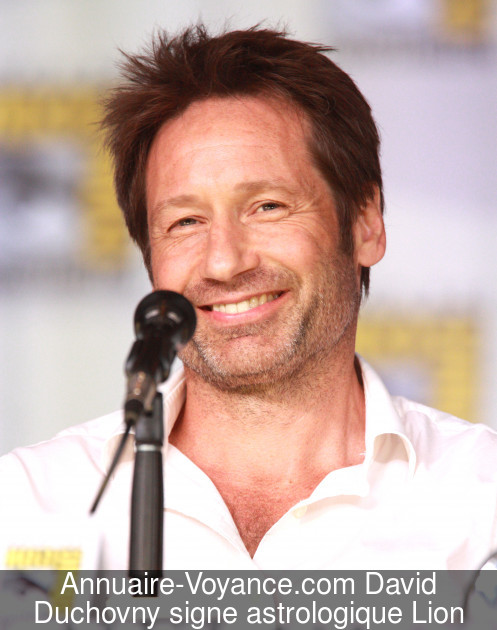 David Duchovny Lion