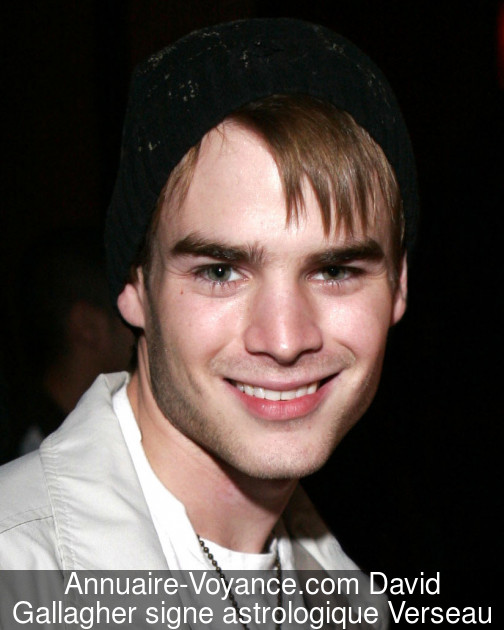 David Gallagher Verseau