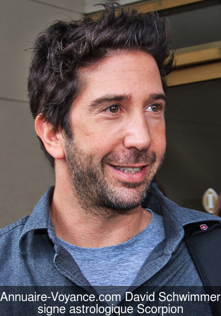 David Schwimmer Scorpion