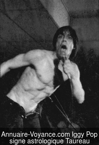 Iggy Pop Taureau