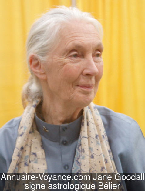 Jane Goodall Bélier