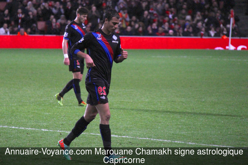 Marouane Chamakh Capricorne