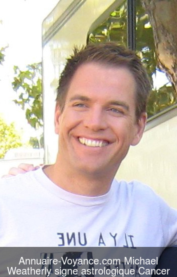 Michael Weatherly Cancer