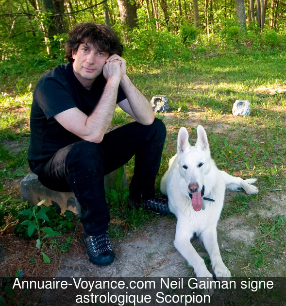 Neil Gaiman Scorpion