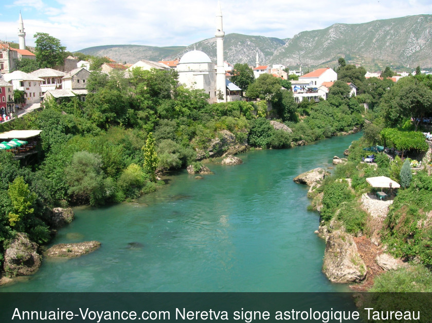 Neretva Taureau