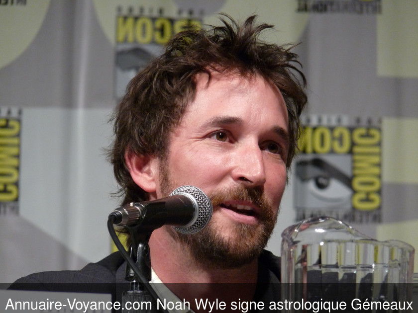 Noah Wyle Gémeaux