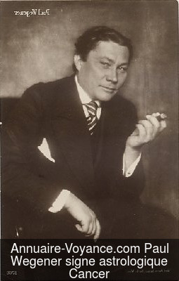 Paul Wegener Cancer