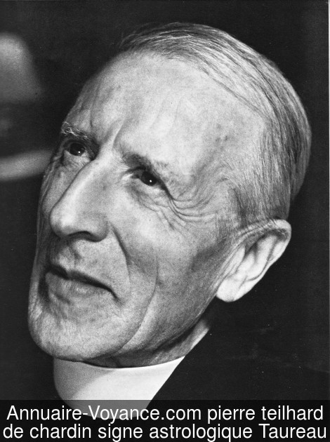 pierre teilhard de chardin Taureau