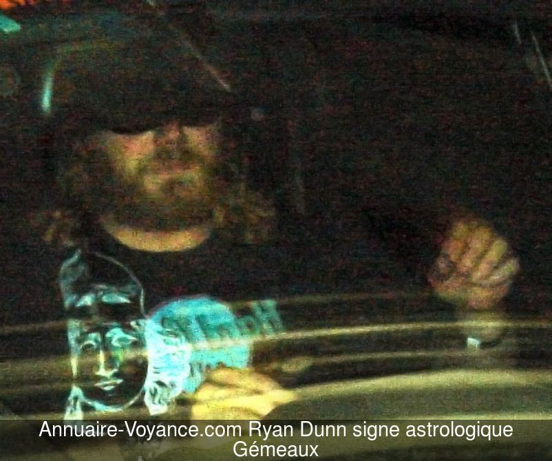 Ryan Dunn Gémeaux