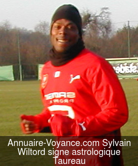 Sylvain Wiltord Taureau