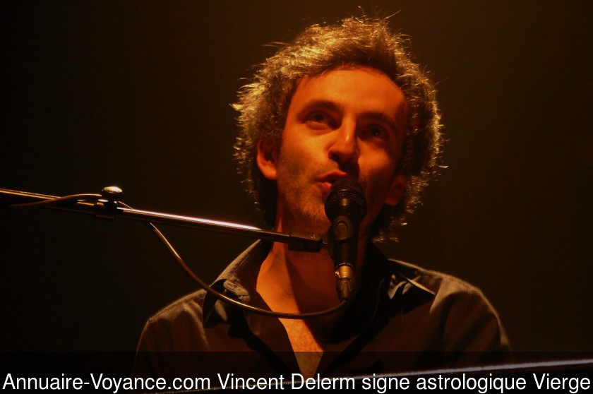 Vincent Delerm Vierge