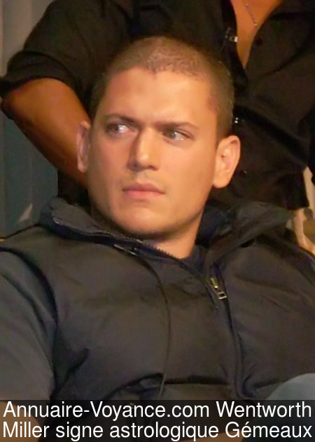 Wentworth Miller Gémeaux