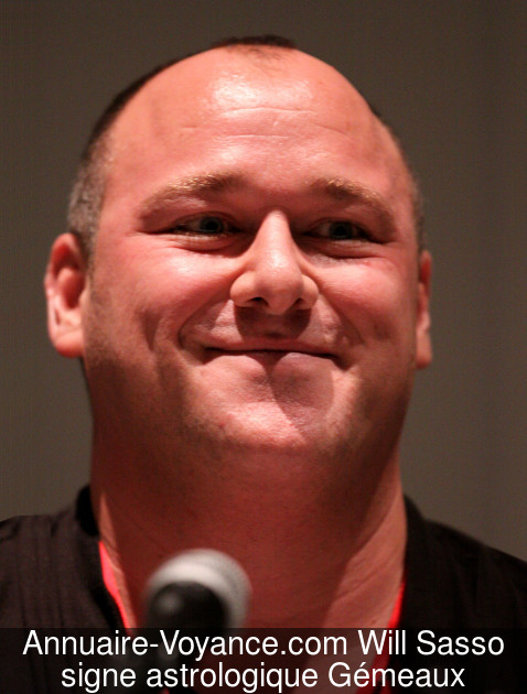 Will Sasso Gémeaux