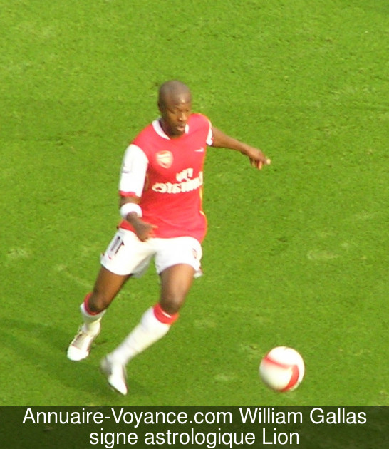 William Gallas Lion